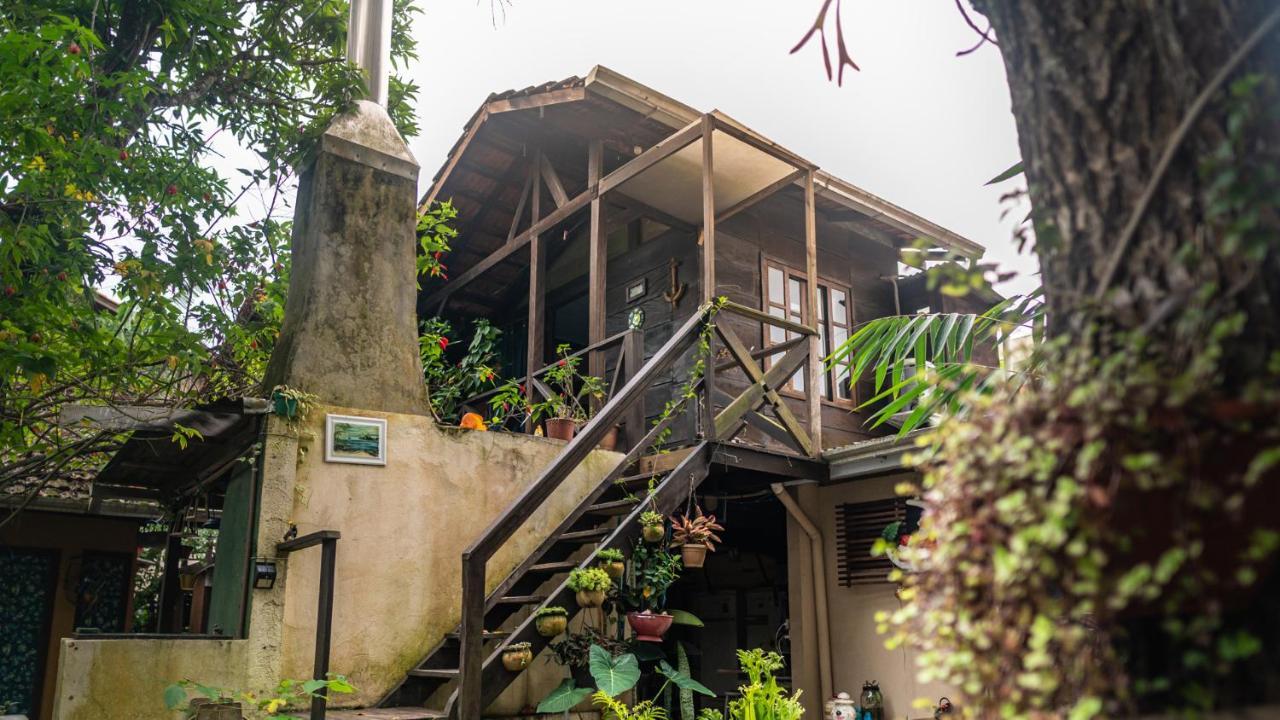 Homestay Recanto Mico Leao *