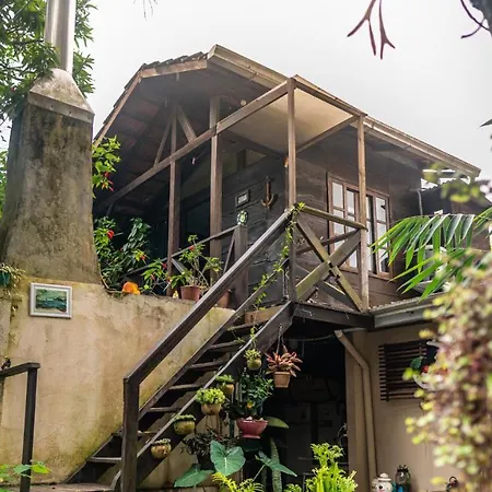 Recanto Mico Leao Bombinhas Exterior photo