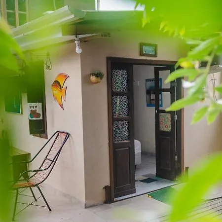 Recanto Mico Leao Bombinhas Exterior photo