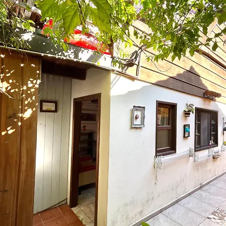 Recanto Mico Leao Bombinhas Exterior photo